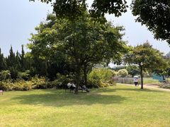 -南沙蒲洲花园
