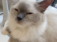 -怪兽屋·羊驼·猫咖·狗咖(俊华广场店)