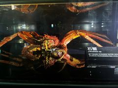 -同济大学四平路校区深海探索馆