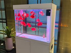 -菩提会所·足道·SPA(苏州中心店)