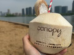 -金沙湖公园