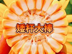 -羽·摄影工作室·外拍·跟拍·活动会议视频