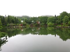 -四明山国家森林公园