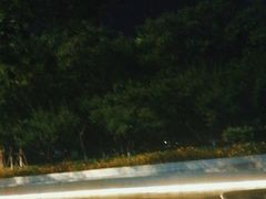 -曙光国际大酒店中餐厅
