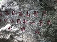 -王顺山国家森林公园