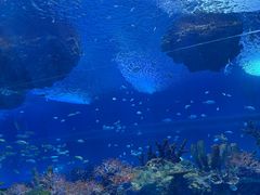 -野生动物园-停车场