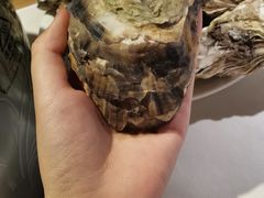 -星伦多自助料理(华润万象城店)