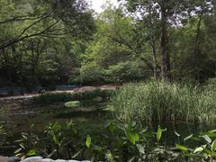 -白水寺森林公园