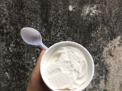 -洪馨椰子