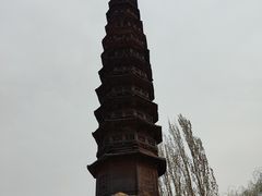 -东昌湖风景区