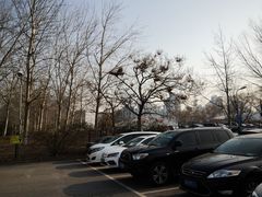 -奥林匹克森林公园北园-停车场