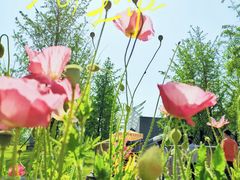 -武汉园博园(武汉自然博物馆)