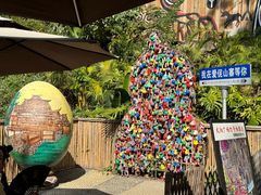 -西双版纳原始森林公园