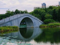 -映月湖公园