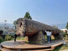 -国家植物园南园