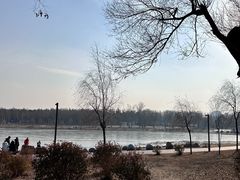 -长春市南湖公园