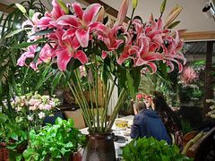 -春暖花开(西溪店)
