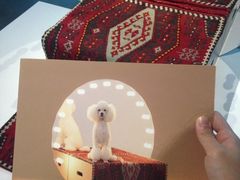 iphone_upload_pic-知美术馆
