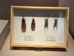-台州博物馆