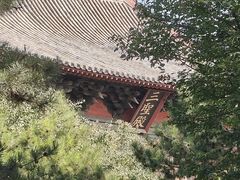 -善化寺