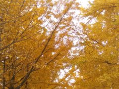 -辽东学院(南校区)