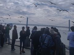 -星海湾跨海大桥