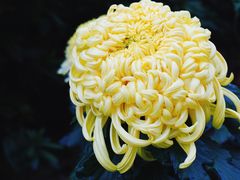 -虞山城墙
