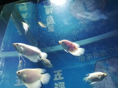 -福州罗源湾海洋世界旅游区