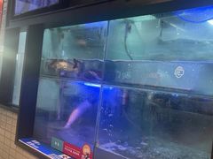 -鱼酷活鱼烤鱼(南京水游城店)