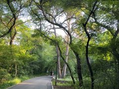 -北陵公园