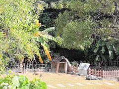 -广东惠东海龟国家级自然保护区
