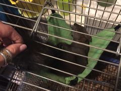 -MOJO密室逃脱(中街旗舰店)