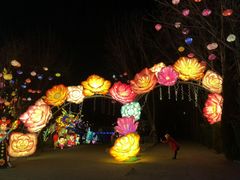 -淄博花灯齐彩城