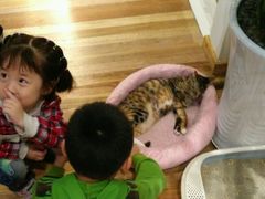 -猫的天空之城概念书店(杭州南宋御街店)