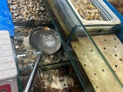 -以前的小酒馆(中山广场店)