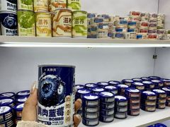 -青奢宠物·青奢猫舍