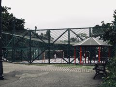 游乐设施-二龙喉公园