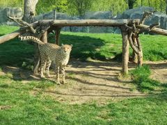 -北京野生动物园