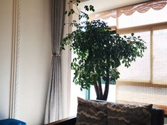 -梵舍·沙浴养生SPA