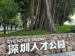 -深圳人才公园