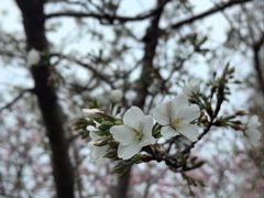 -白塘生态植物园