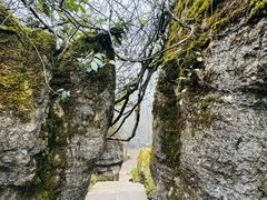 -山王坪喀斯特国家生态公园