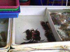 -拉威海鲜市场