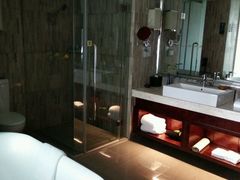-常州环球恐龙城维景国际大酒店