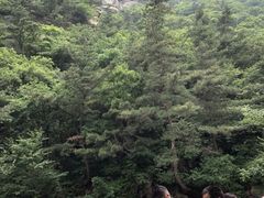 -无染寺
