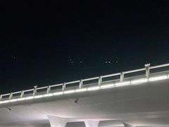 -演武大桥观景平台