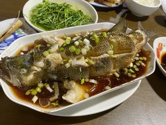 清蒸鲈鱼-沈记菜馆(酒仙桥路店)