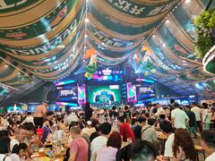 -第35届青岛国际啤酒节