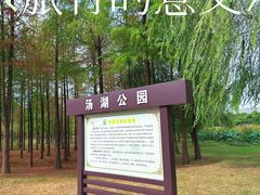 -汤湖公园