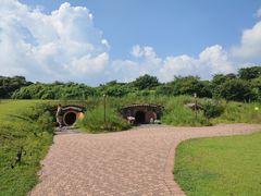 -济州森林小火车生态公园